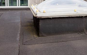 disadvantages of Dolywern flat roofs