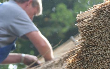 professional Dolywern thatchers